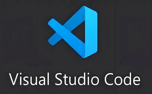 VS-Code接入API教程